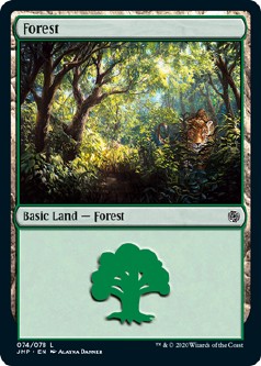 画像1: 『英語版』森/Cats Forest (1)