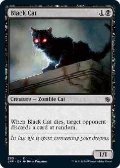 画像1: 『英語版』黒猫/Black Cat (1)