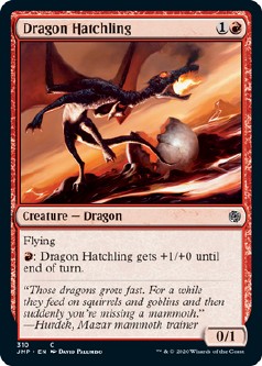 画像1: 『英語版』ドラゴンの雛/Dragon Hatchling (1)