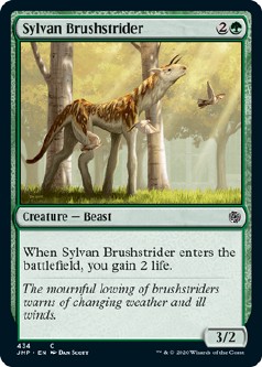 画像1: 『英語版』森の刷毛履き/Sylvan Brushstrider (1)