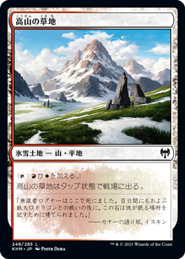 画像1: 【日本語版】高山の草地/Alpine Meadow (1)