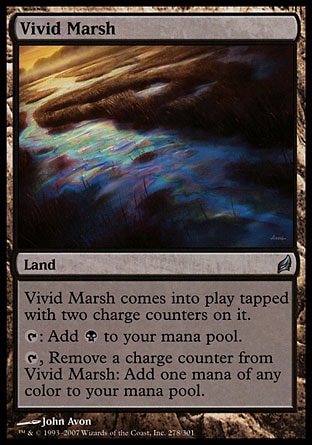 画像1: 『英語版』鮮烈な湿地/Vivid Marsh (1)