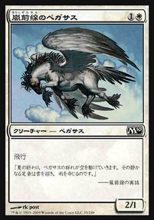 画像1: 【日本語版】嵐前線のペガサス/Stormfront Pegasus (1)