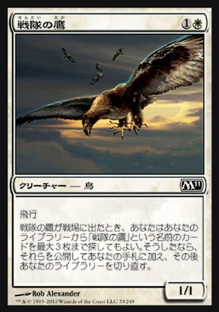 画像1: 【日本語版】戦隊の鷹/Squadron Hawk (1)