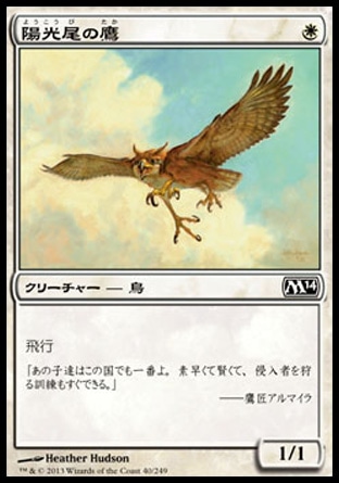 画像1: 【日本語版】陽光尾の鷹/Suntail Hawk (1)