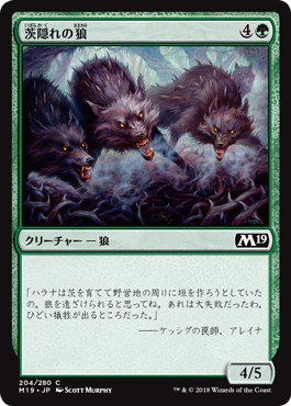 画像1: 【日本語版】茨隠れの狼/Thornhide Wolves (1)