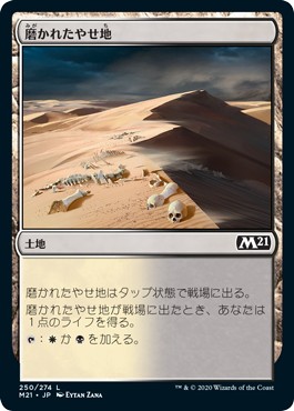 画像1: 【日本語版】磨かれたやせ地/Scoured Barrens (1)