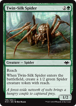 画像1: 『英語版』双子絹蜘蛛/Twin-Silk Spider (1)