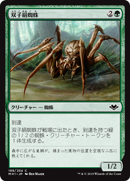 画像1: 【日本語版】双子絹蜘蛛/Twin-Silk Spider (1)