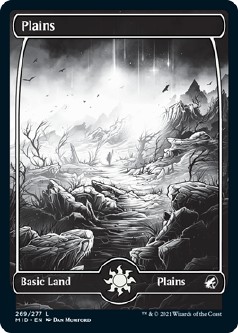 画像1: 【日本語版】平地/Plains (1)