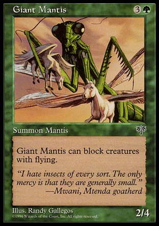 画像1: 『英語版』大カマキリ/Giant Mantis (1)