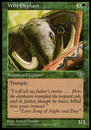 画像1: 『英語版』野生の象/Wild Elephant (1)