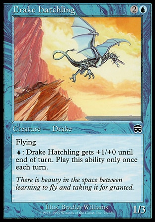 画像1: 【日本語版】ドレイクの雛/Drake Hatchling (1)