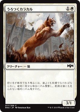 画像1: 【日本語版】うろつくカラカル/Prowling Caracal (1)