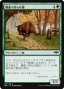 画像1: 【日本語版】縄張り持ちの猪/Territorial Boar (1)