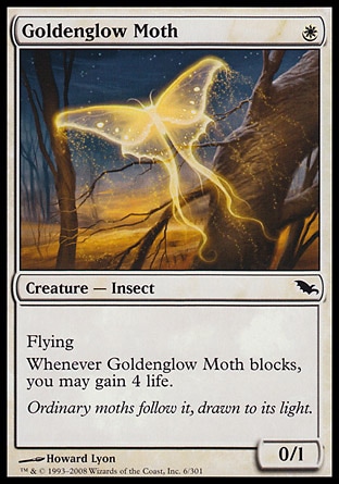 画像1: 【日本語版】黄金光の蛾/Goldenglow Moth (1)