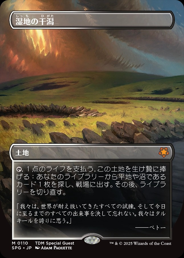 画像1: 【ボーダーレス】【日本語版】湿地の干潟/Marsh Flats (1)
