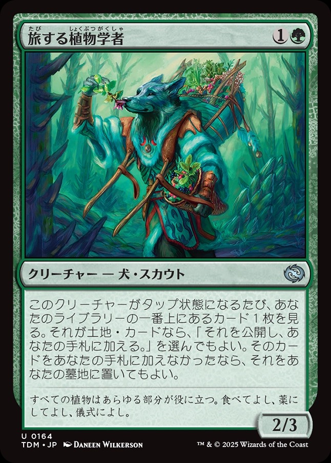画像1: 【日本語版】旅する植物学者/Traveling Botanist (1)