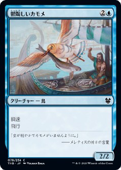 画像1: 【日本語版】鬱陶しいカモメ/Vexing Gull (1)