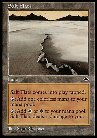 画像1: 『英語版』塩の干潟/Salt Flats (1)