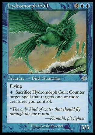 画像1: 【日本語版】ハイドロモルフのカモメ/Hydromorph Gull (1)