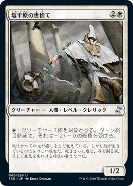 画像1: 【日本語版】塩平原の世捨て/Saltfield Recluse (1)