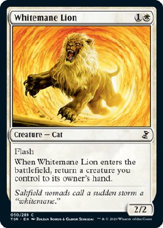 画像1: 『英語版』白たてがみのライオン/Whitemane Lion (1)