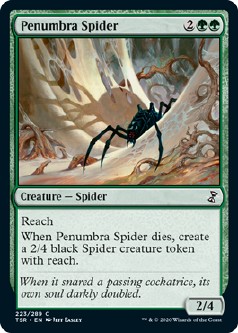 画像1: 『英語版』暗影の蜘蛛/Penumbra Spider (1)