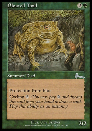 画像1: 『英語版』ふくれたヒキガエル/Bloated Toad (1)