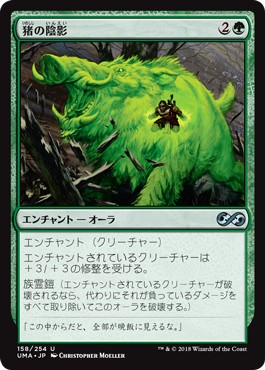 画像1: 【日本語版】猪の陰影/Boar Umbra (1)