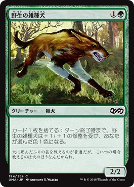 画像1: 【日本語版】野生の雑種犬/Wild Mongrel (1)