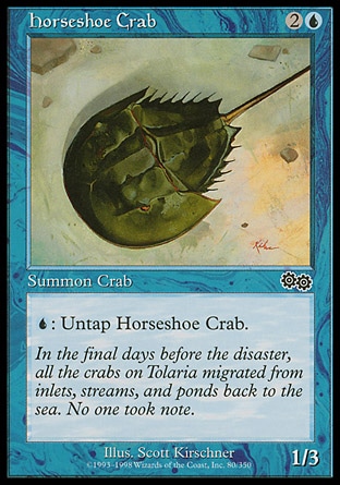 画像1: 『英語版』カブトガニ/Horseshoe Crab (1)