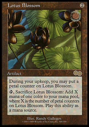 画像1: 『英語版』水蓮の花/Lotus Blossom (1)