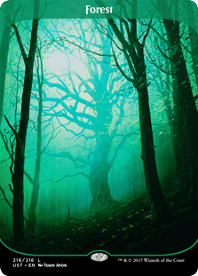 画像1: 『英語版』森/Forest (1)