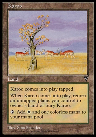 画像1: 『英語版』乾燥高原/Karoo (1)