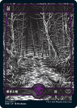 画像1: 【日本語版】沼/Swamp (1)