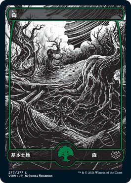 画像1: 【日本語版】森/Forest (1)