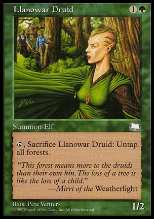 画像1: 『英語版』ラノワールのドルイド/Llanowar Druid (1)