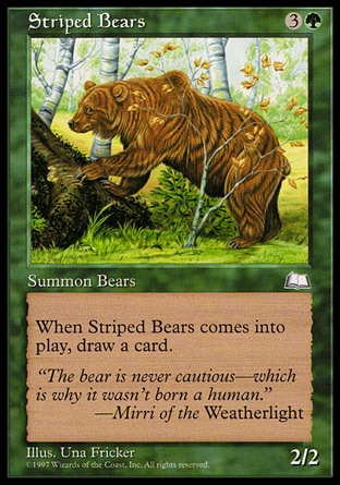 画像1: 『英語版』シマクマ/Striped Bears (1)