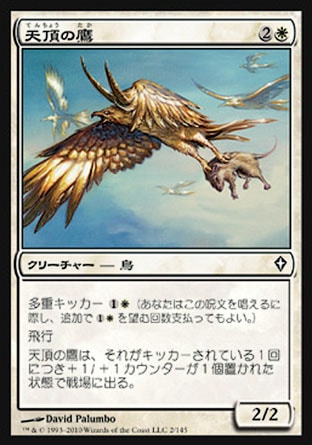 画像1: 【日本語版】天頂の鷹/Apex Hawks (1)